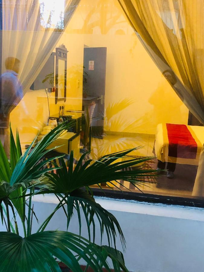 Bed and Breakfast The Neem Nueva Delhi Exterior foto