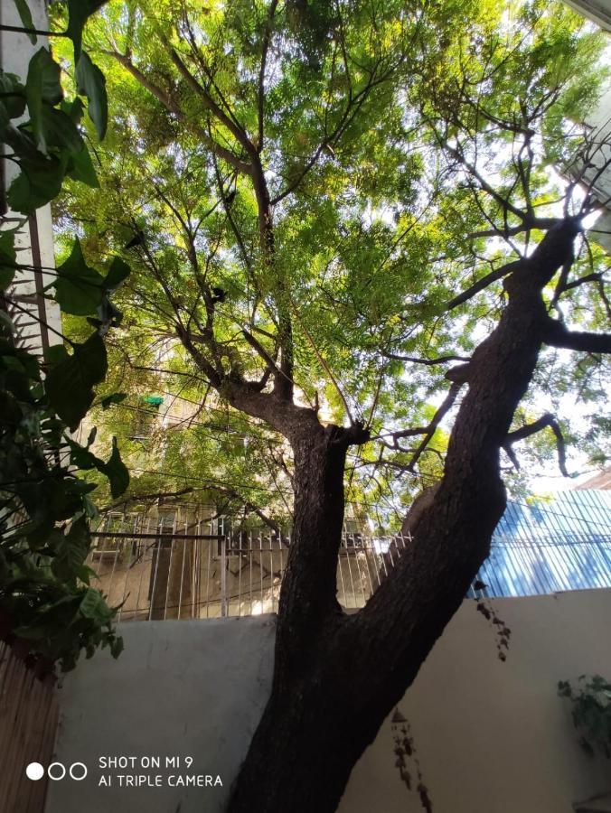 Bed and Breakfast The Neem Nueva Delhi Exterior foto